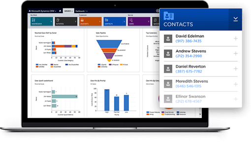 Microsoft Dynamics Interface Microsoft Dynamics Interface